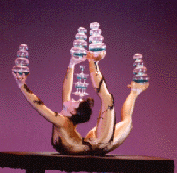 Chinese Contortionist.