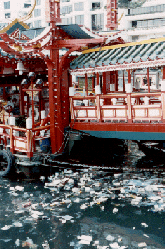 Garbage in the bay.